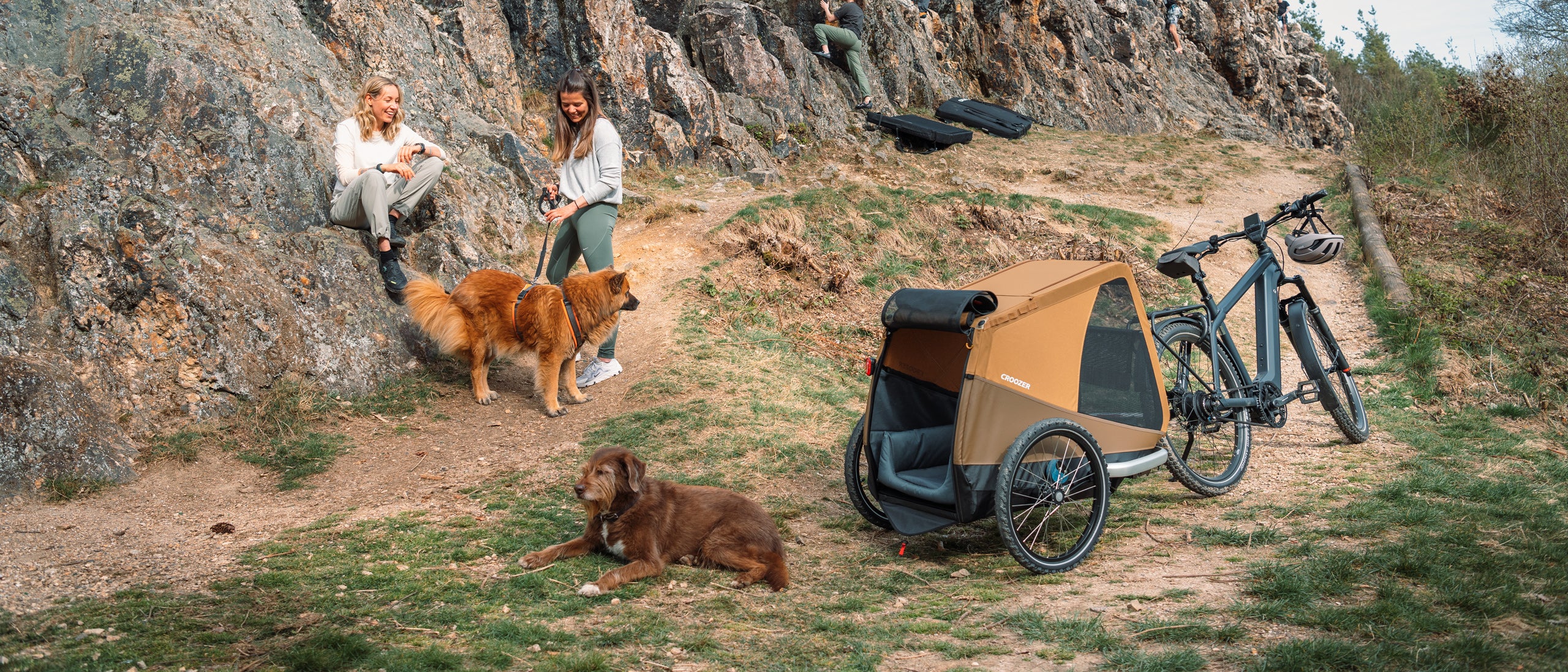 RIDING WITH TWO DOGS IN THE BICYCLE TRAILER